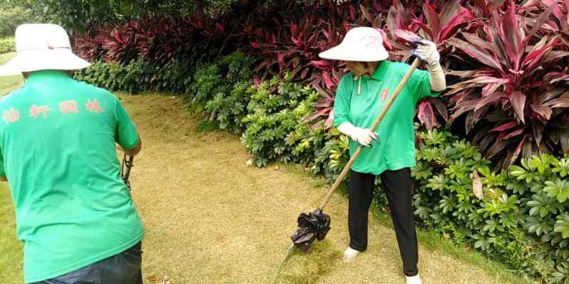 绿化养护除草