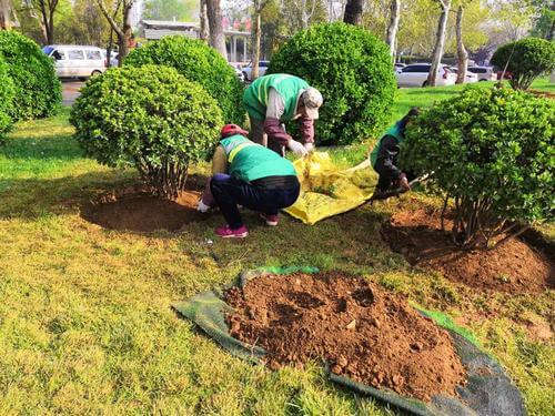 怡轩园林:绿化养护草坪建植场地的准备工作