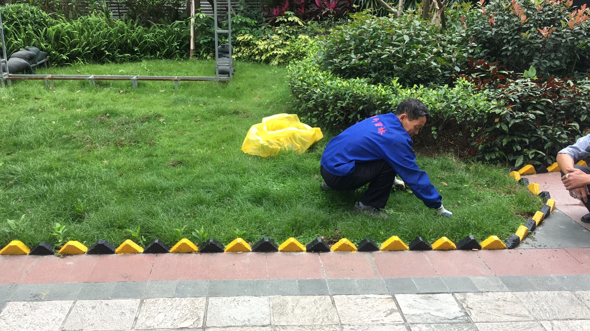 绿化养护草坪修剪