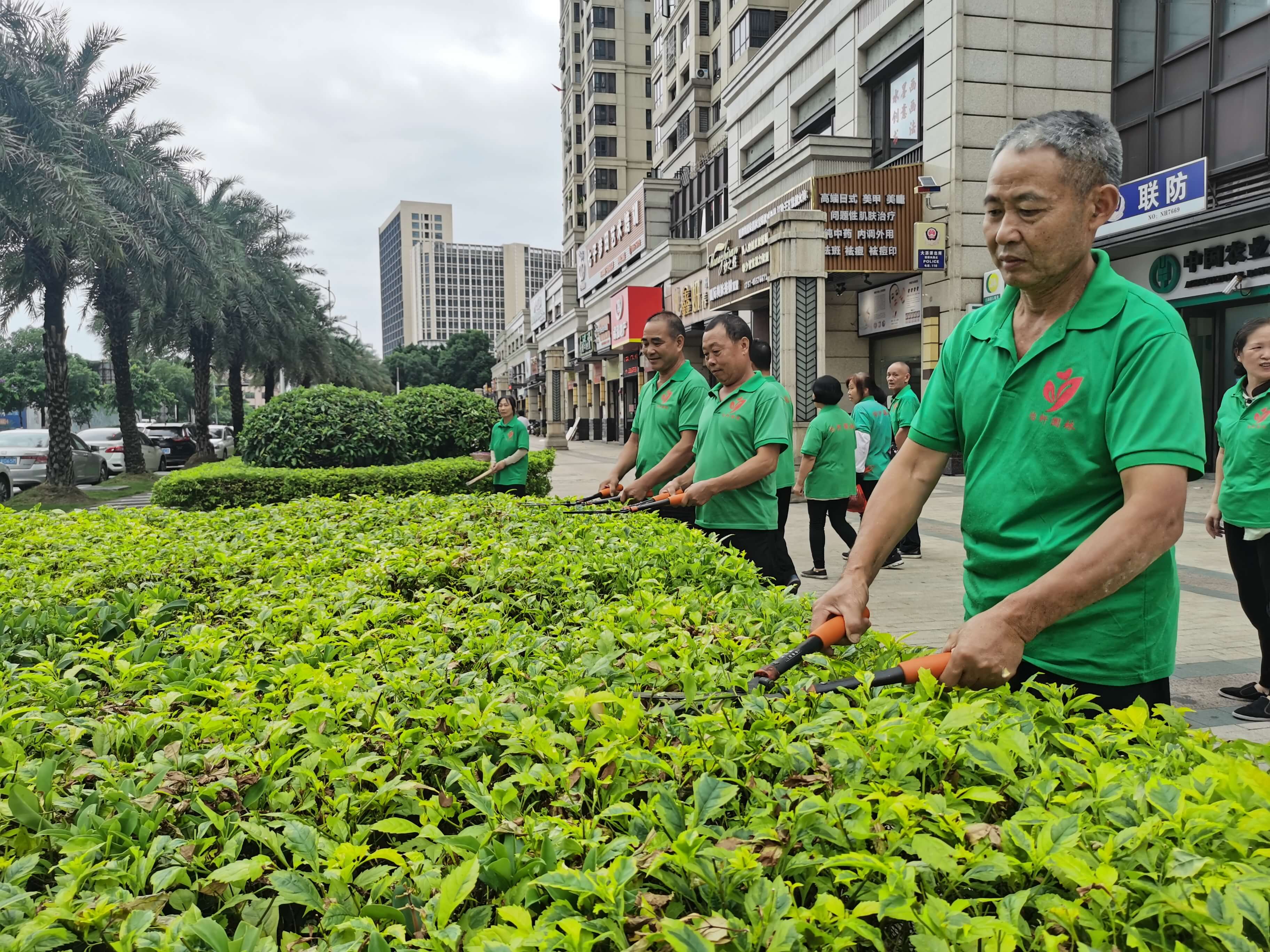 小区绿化养护