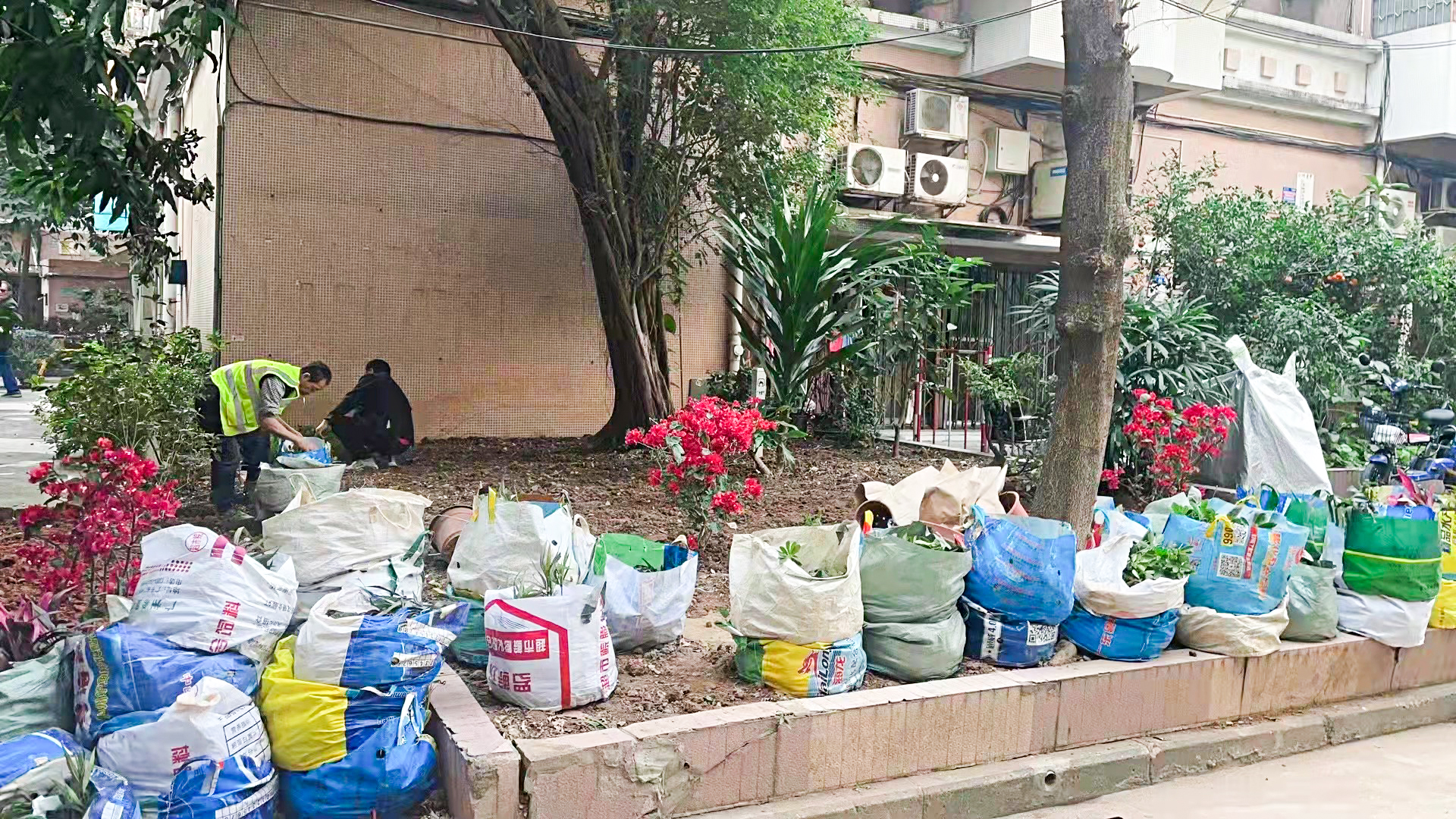绿化养护,园林人