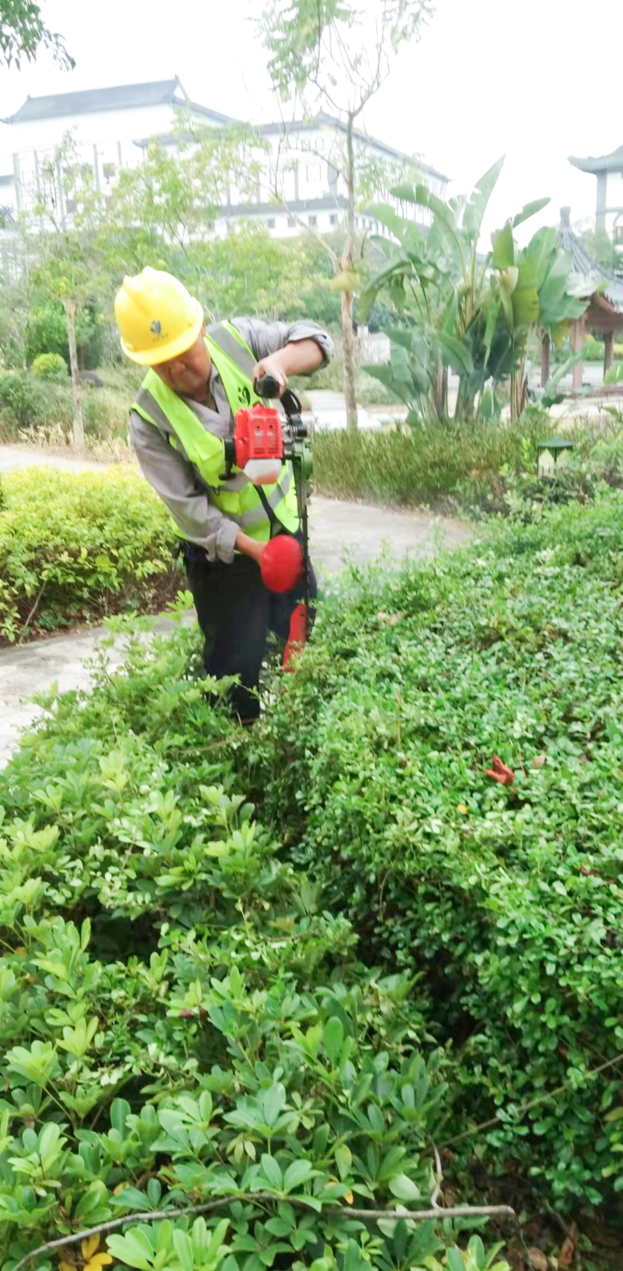 园林绿化