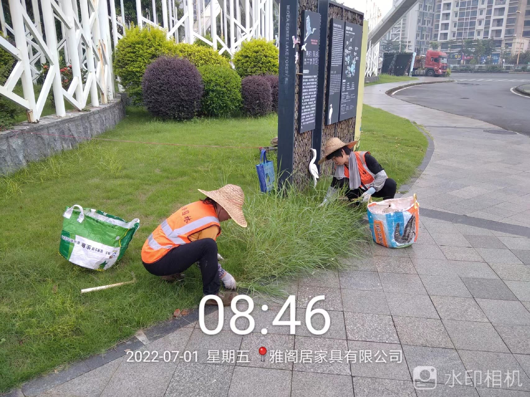 绿化养护