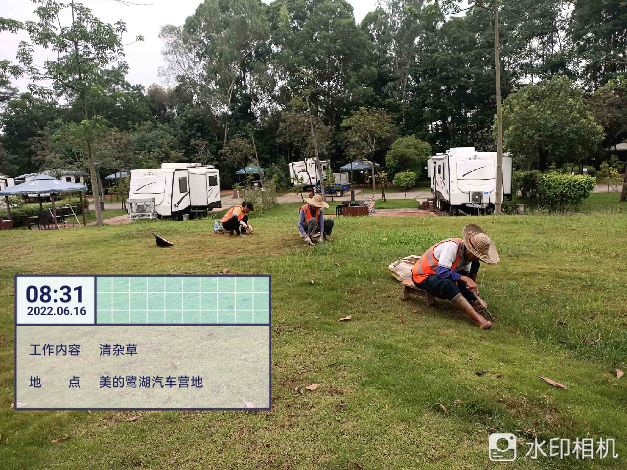 绿化工程