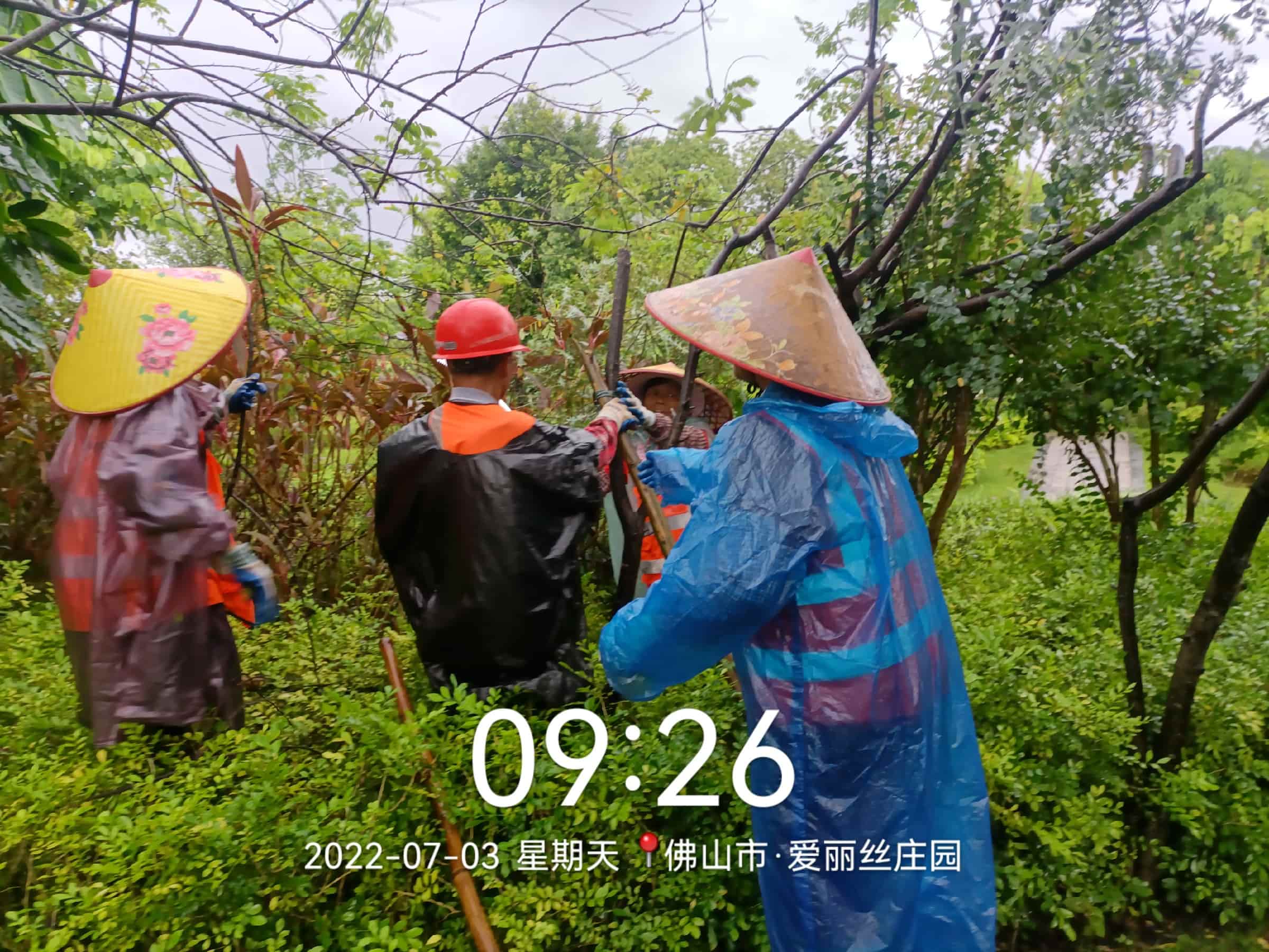 园林养护,美的鹭湖