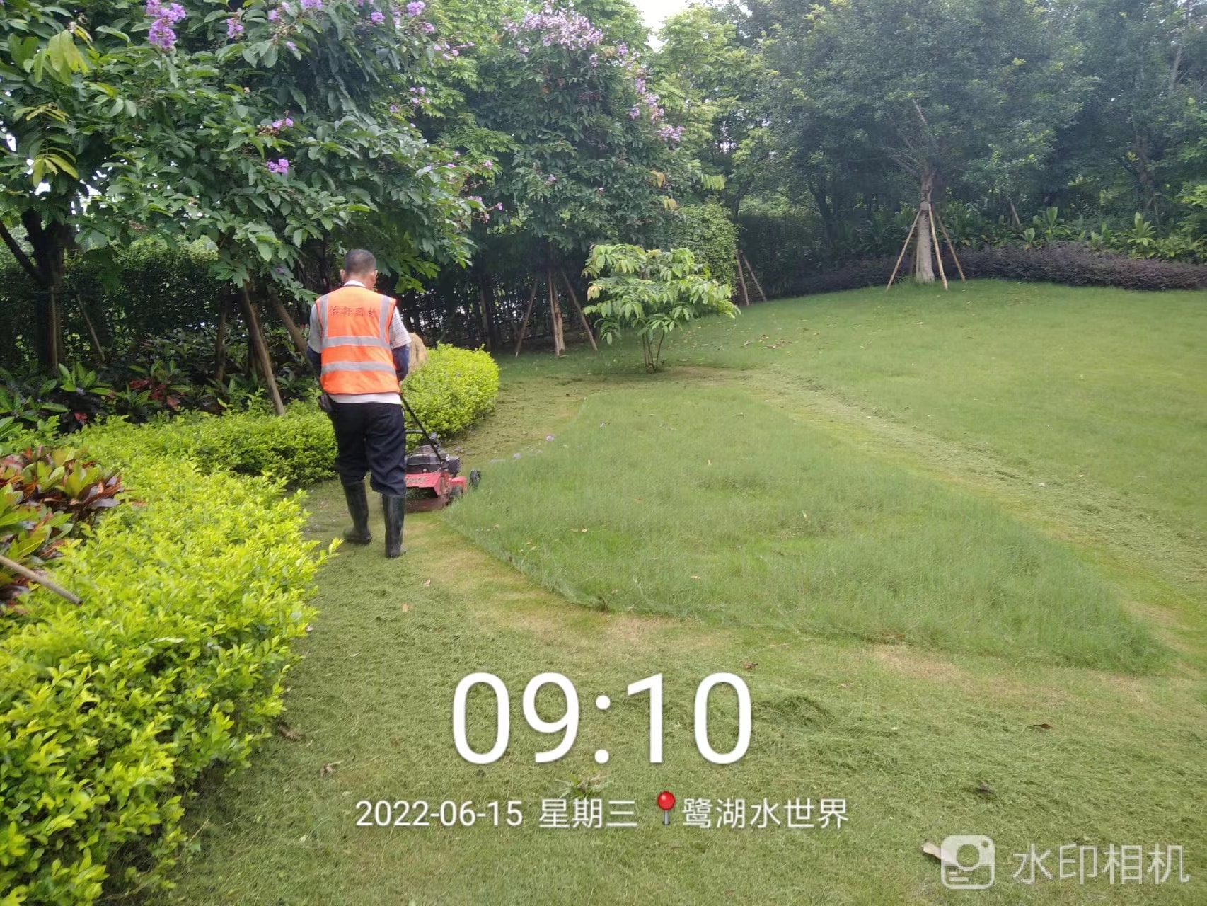 园林绿化公司