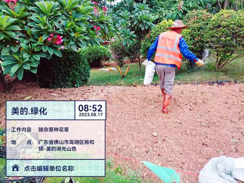 绿化养护