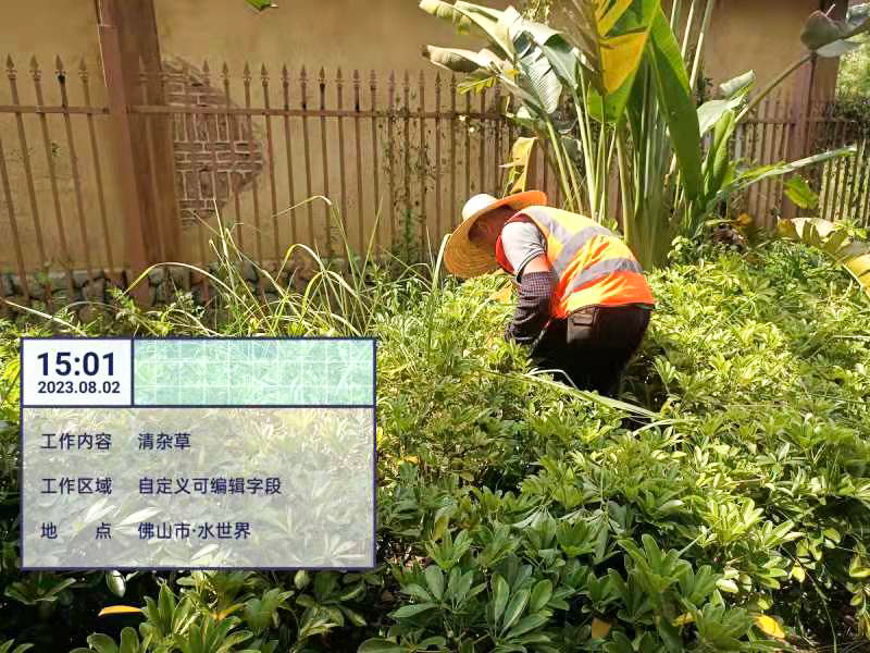 绿化养护