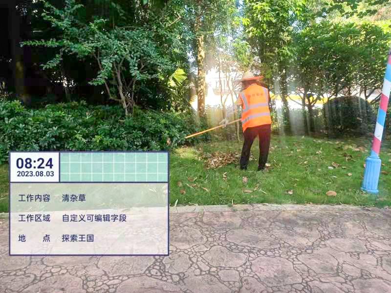 绿化养护,绿化工程