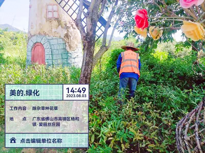 绿化养护