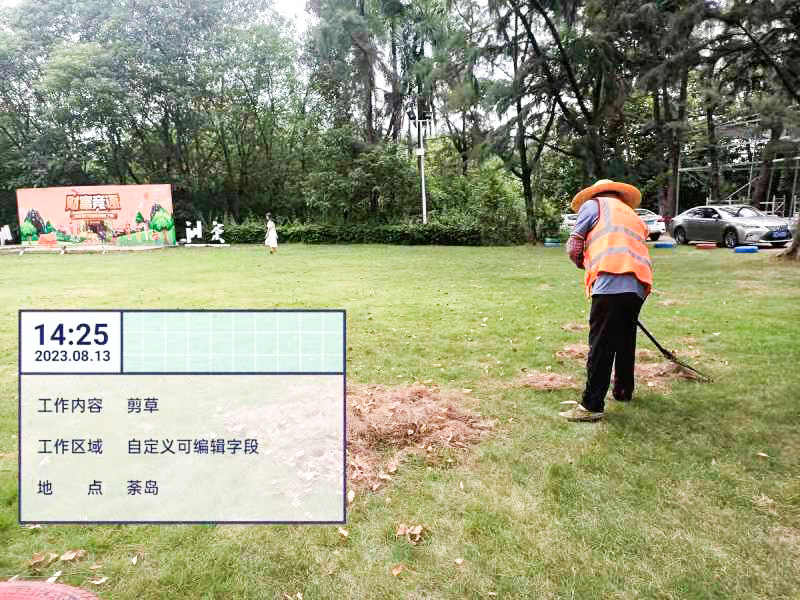 绿化公司,草坪