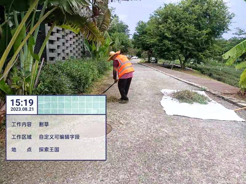 庭院设计