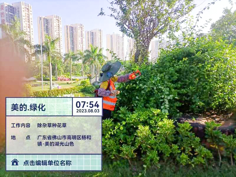 驳岸